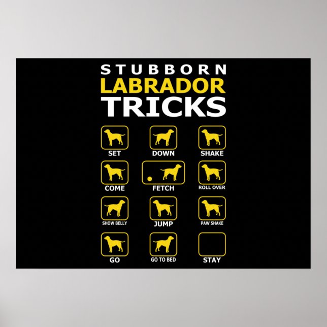 Stubborn Labrador Dog Tricks Funny Poster (Front)