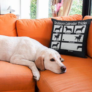 Stubborn Labrador Tricks Cushion