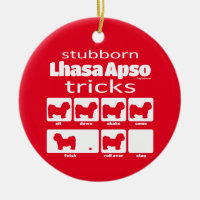 Stubborn Lhasa Apso Tricks