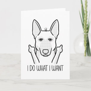 Stubborn Malinois Dog Belgian Shepherd Dog Card