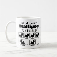 Stubborn Maltipoo Tricks