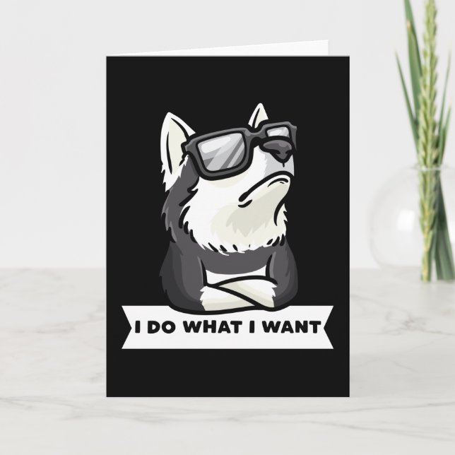 Stubborn Pomsky Dog Funny Card (Front)