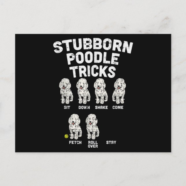 Stubborn Poodle Tricks Funny Dog Lover Owner Postcard (Front)