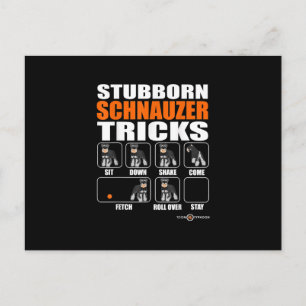 Stubborn Schnauzer Tricks Funny Schnauzer Gift Announcement Postcard