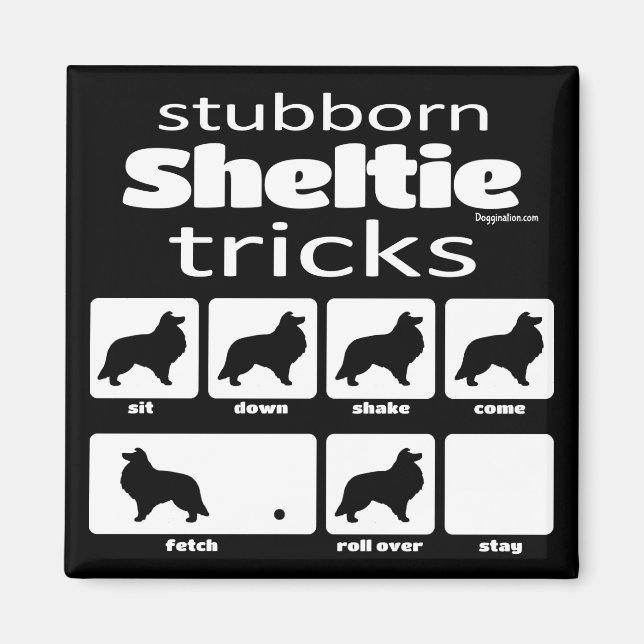 Stubborn Sheltie Tricks Magnet (Front)