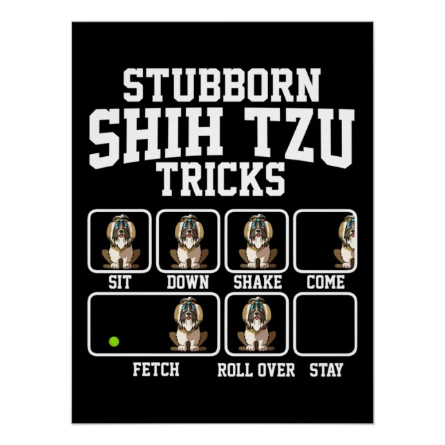 Stubborn Shih Tzu Dog Tricks Poster (Front)