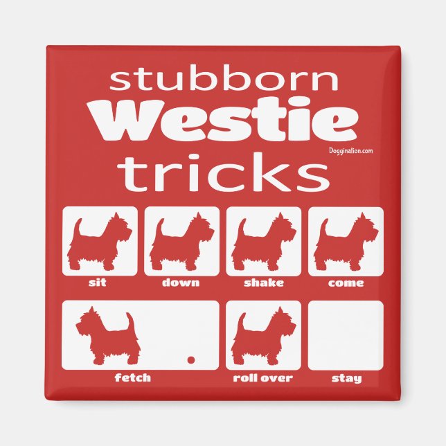 Stubborn Westie Tricks Magnet (Front)