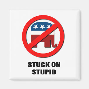 Stuck on Stupid Magnet