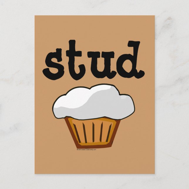 Stud Muffin, Cute Funny Baked Good Postcard (Front)