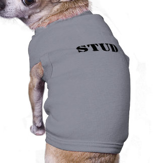 Stud Shirt for Dogs!