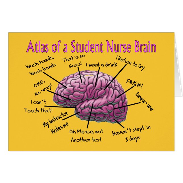Student Nurse Gifts (Front Horizontal)