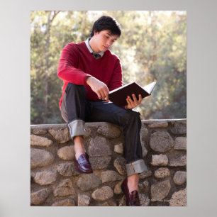 Student Reading Book and Sitting on Stone Wall Poster