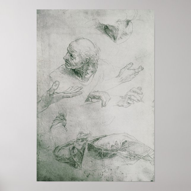 Studies for the Figure of Bramante Poster (Front)
