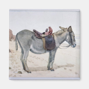 Studies of Animals Magnet