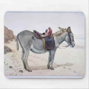 Studies of Animals Mouse Mat
