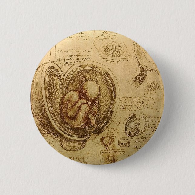 Studies of Embryos 6 Cm Round Badge (Front)