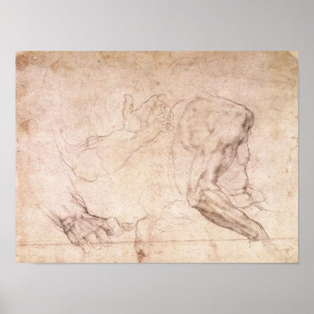 Studies of hands and an arm poster (Front)