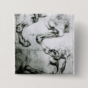 Studies of Horses legs 15 Cm Square Badge