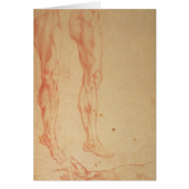 Studies of Legs and Arms (Front)