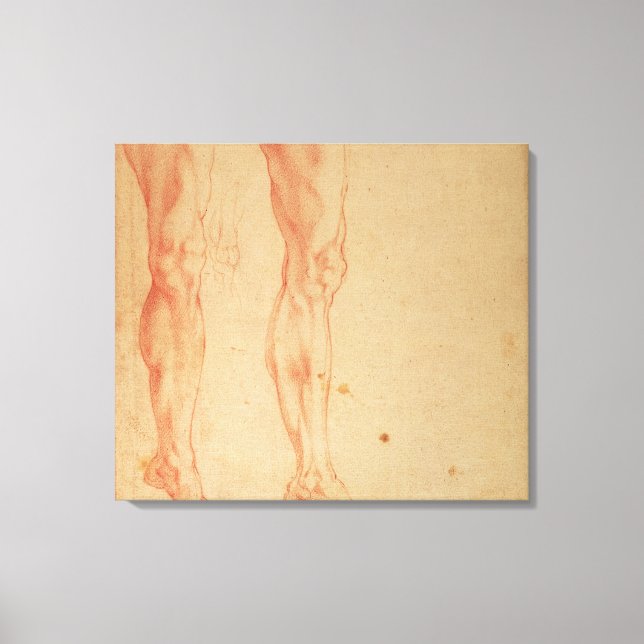 Studies of Legs and Arms Canvas Print (Front)