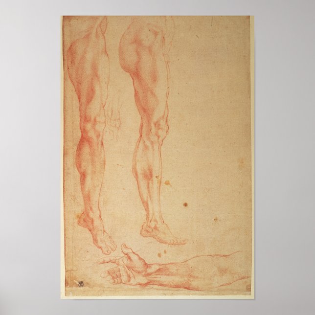 Studies of Legs and Arms Poster (Front)