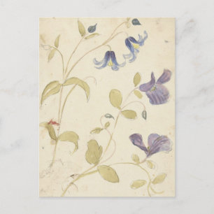 Studies of Purple and Blue Flowers by Nijmegen Postcard