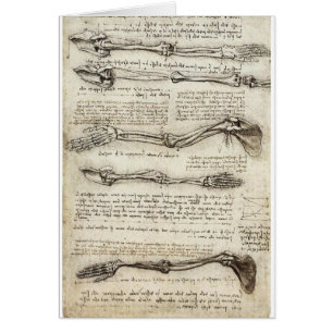 Studies of the Arm by Leonardo Da Vinci c. 1510