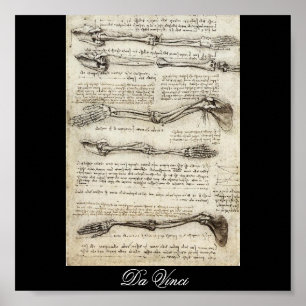 Studies of the Arm by Leonardo Da Vinci c. 1510 Poster