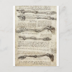 Studies of the arm postcard