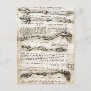 Studies of the Arm showing the Movements made by B Postcard