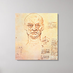 Studies of the Proportions of the Face and Eye, 14 Canvas Print