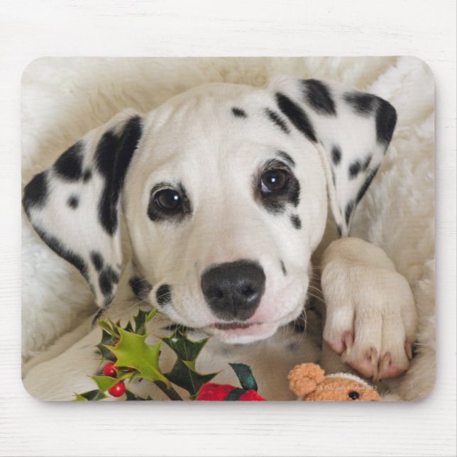 studio mouse mat (Front)