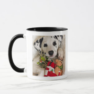 studio mug