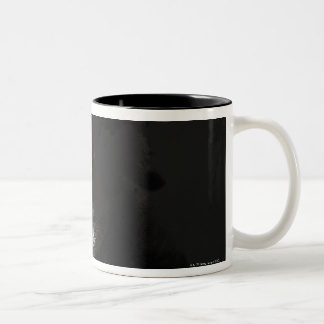 Studio portrait of black jack-a-doodle Two-Tone coffee mug (Right)