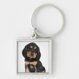 Studio portrait of Rottweiler puppy Key Ring