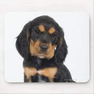 Studio portrait of Rottweiler puppy Mouse Mat