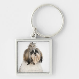 Studio portrait of Shih Tzu Key Ring