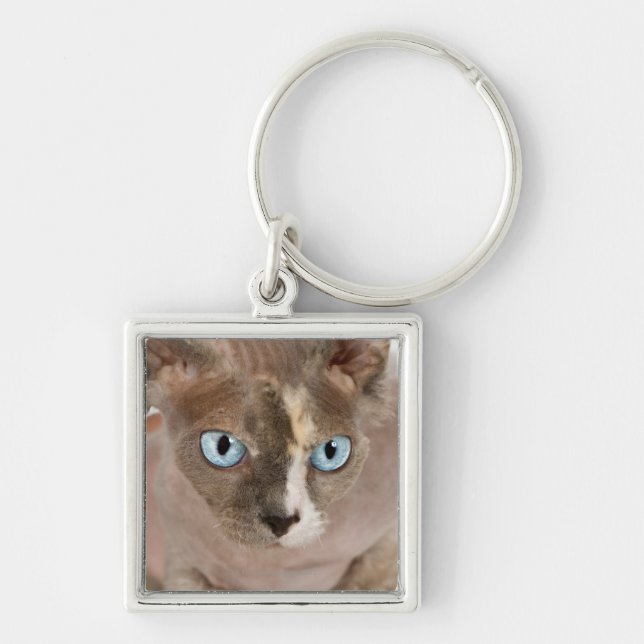 Studio portrait of Sphynx cat Key Ring (Front)