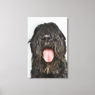 Studio shot canvas print