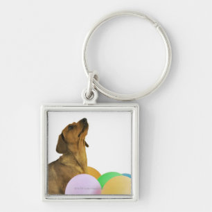 Studio Shot Key Ring
