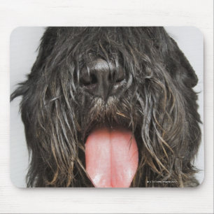 Studio shot mouse mat