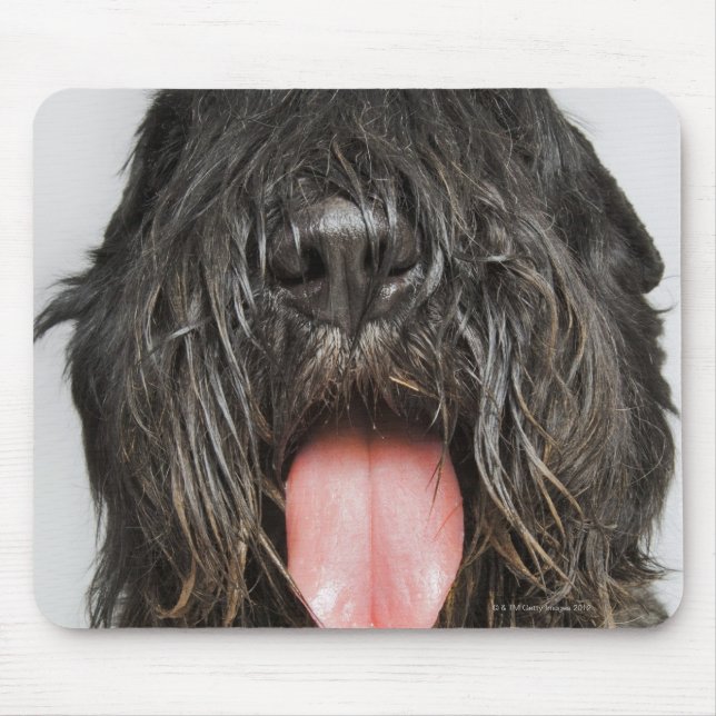 Studio shot mouse mat (Front)