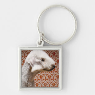 Studio shot of Bedlington Terrier Key Ring