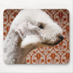 Studio shot of Bedlington Terrier Mouse Mat