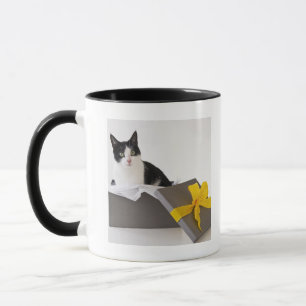 Studio shot of black and white cat in gift box mug