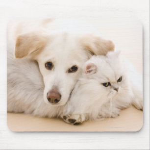 Studio shot of cat and dog mouse mat