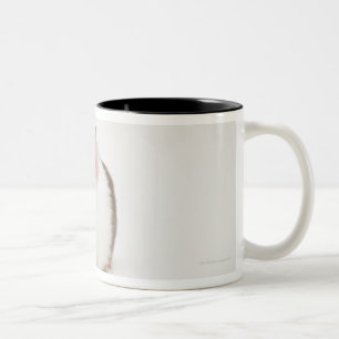 Studio shot of Guinea Pig Two-Tone Coffee Mug