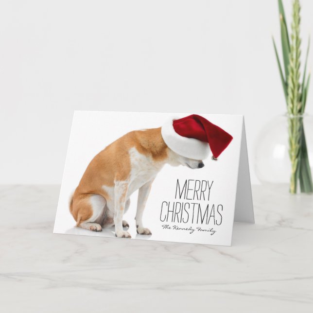 Studio shot of Shiba Inu dog wearing Santa hat Holiday Card (Front)