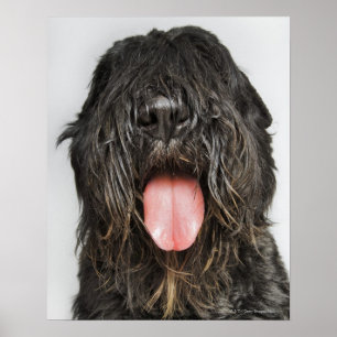 Studio shot poster