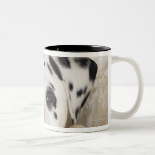 studio Two-Tone coffee mug
